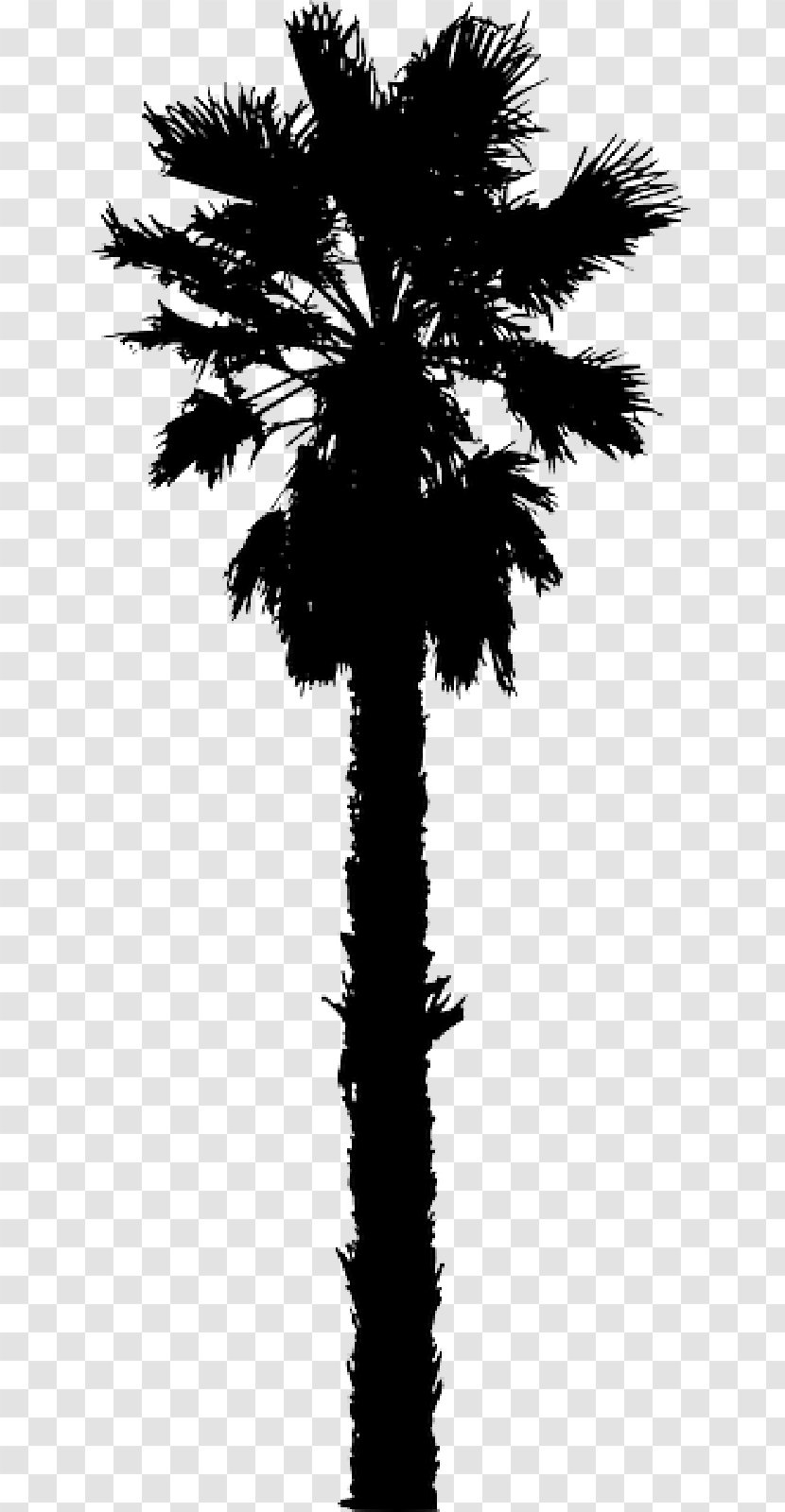 California Palm Clip Art Trees Vector Graphics - Tree Silhouettes Transparent PNG