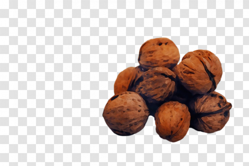 Walnut Superfood Ingredient Nut Transparent PNG