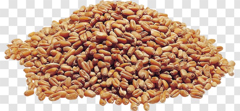 Food Grain Wheat Cereal Transparent PNG
