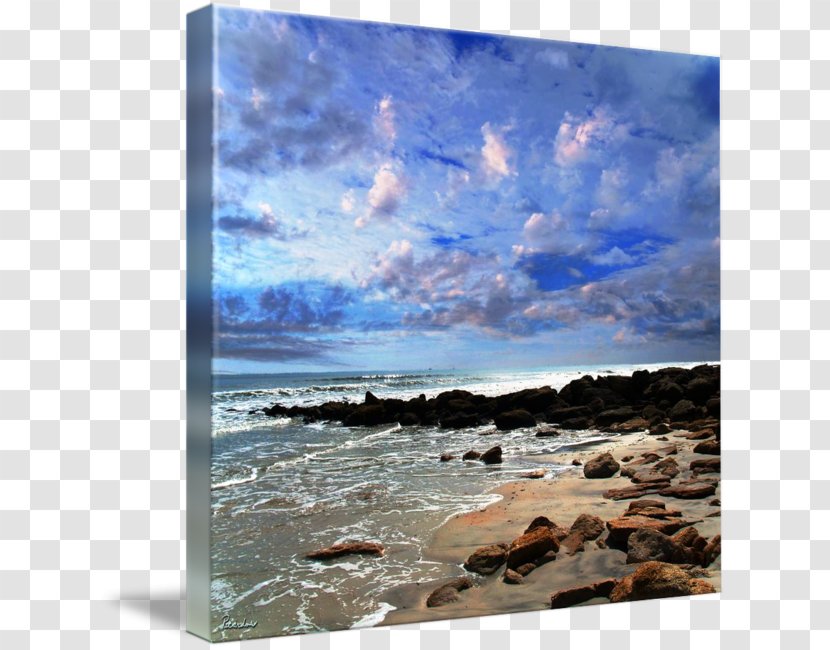 Shore Sea Painting Coast Ocean - Stock Photography Transparent PNG