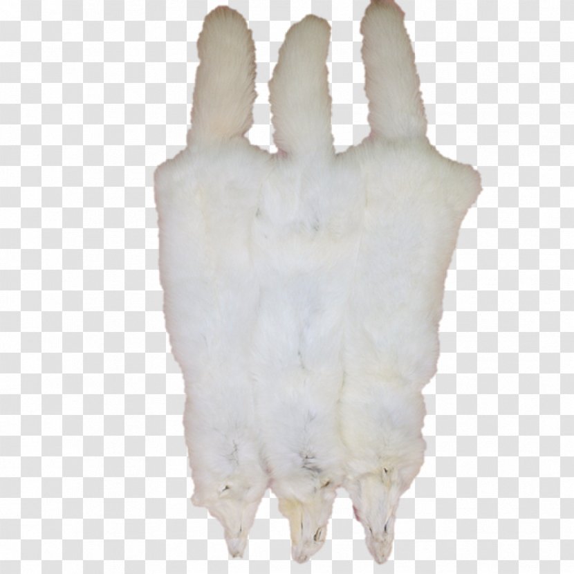Arctic Fox Fur Hide Tanning - Glove Transparent PNG