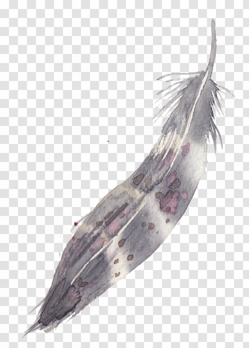 Feather Watercolor Painting - Wing Transparent PNG