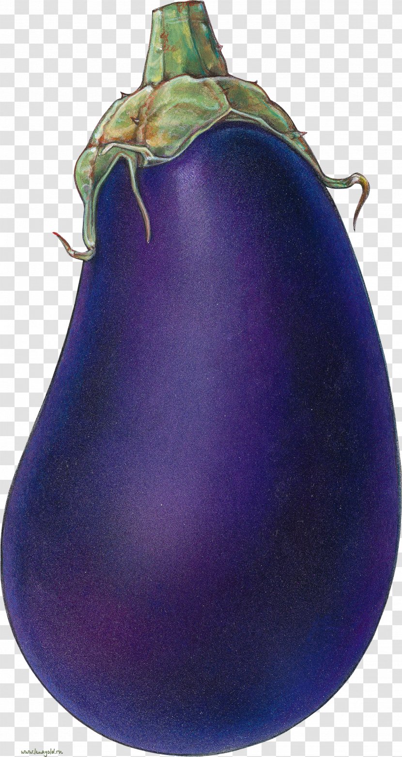 Fruit Vegetable Eggplant Painting Drawing Transparent PNG