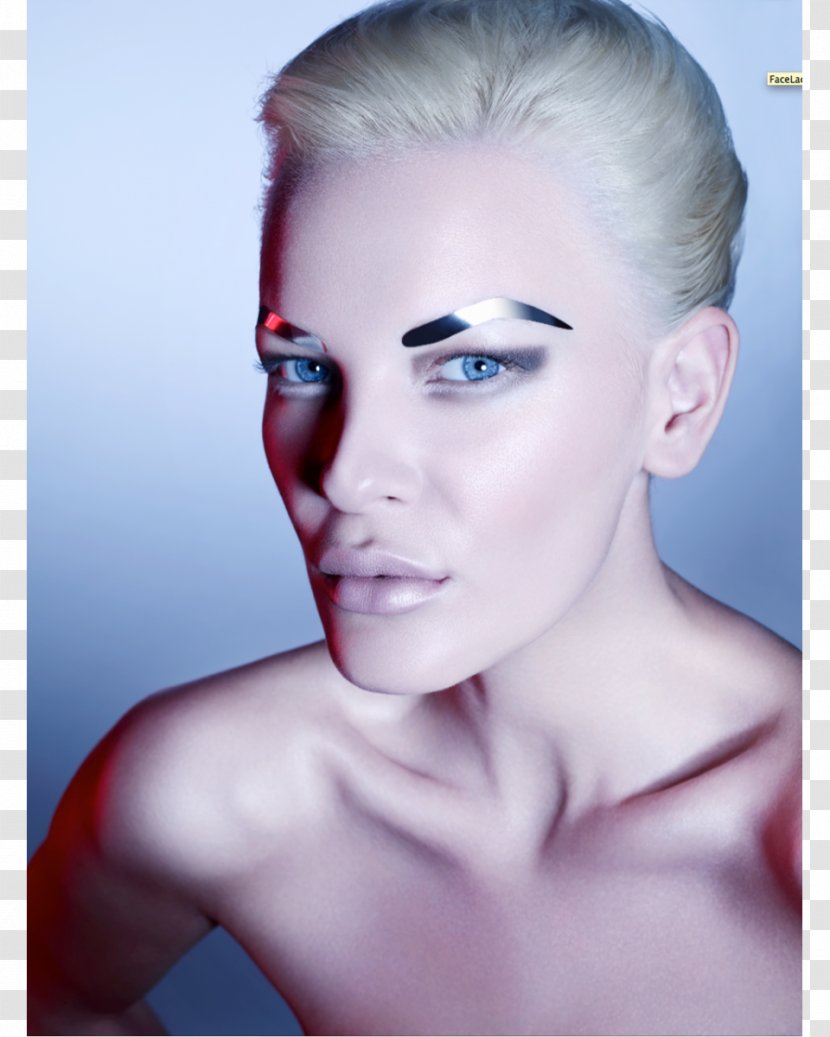 Eyebrow Eyelash Extensions Beauty Cheek - Model - Artificial Hair Integrations Transparent PNG