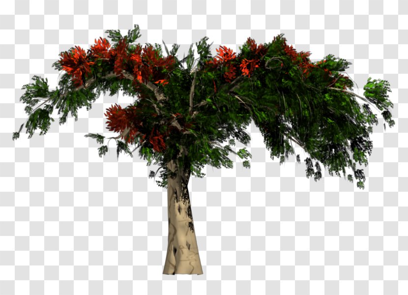 African Trees Rendering - 3d Computer Graphics - Flowerpot Transparent PNG