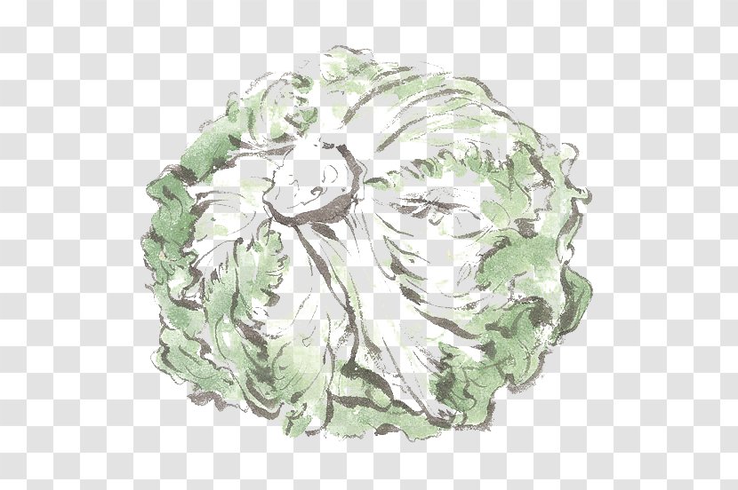 Chinese Cabbage Napa Vegetable - Lettuce - Hand-painted Transparent PNG