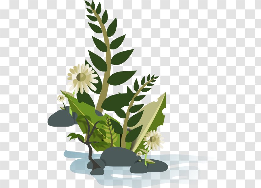 Funeral Flower Wreath Clip Art - Green Plant Transparent PNG