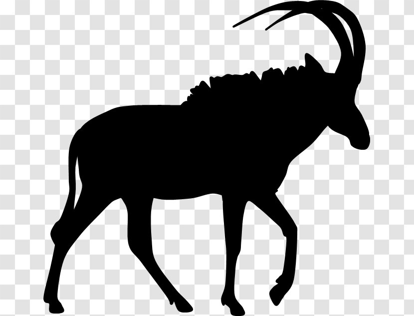 Sable Antelope Pronghorn Nyala Clip Art - Common Eland - Gazelle Transparent PNG