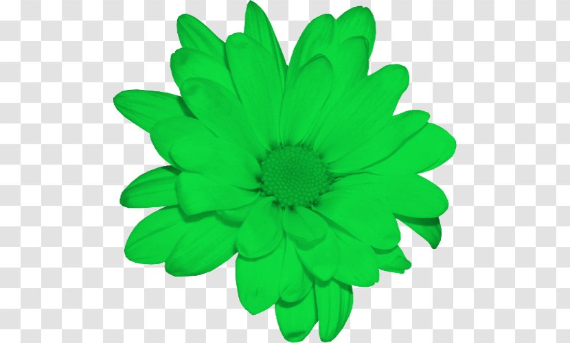 Stock Photography Chrysanthemum DeviantArt Clip Art - Fleur Verte Transparent PNG