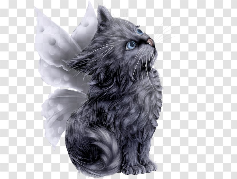 Persian Cat Kitten Empire - Painted Angel Transparent PNG