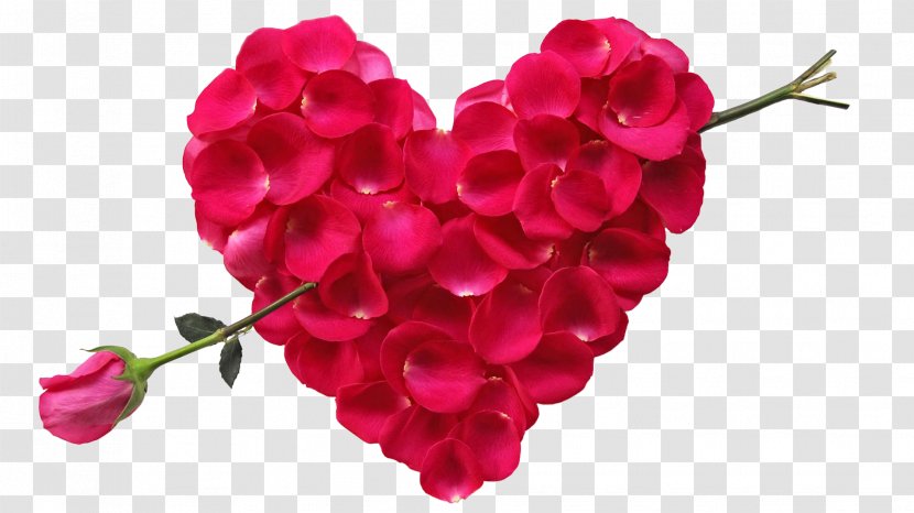 Flower Bouquet Rose Heart Petal - Floristry - Petals Spell Of Cupid Transparent PNG