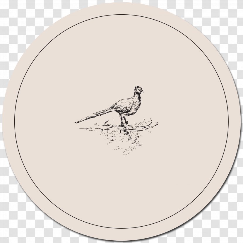 Rooster Oval Beak - Galliformes - Woodland Creatures Transparent PNG