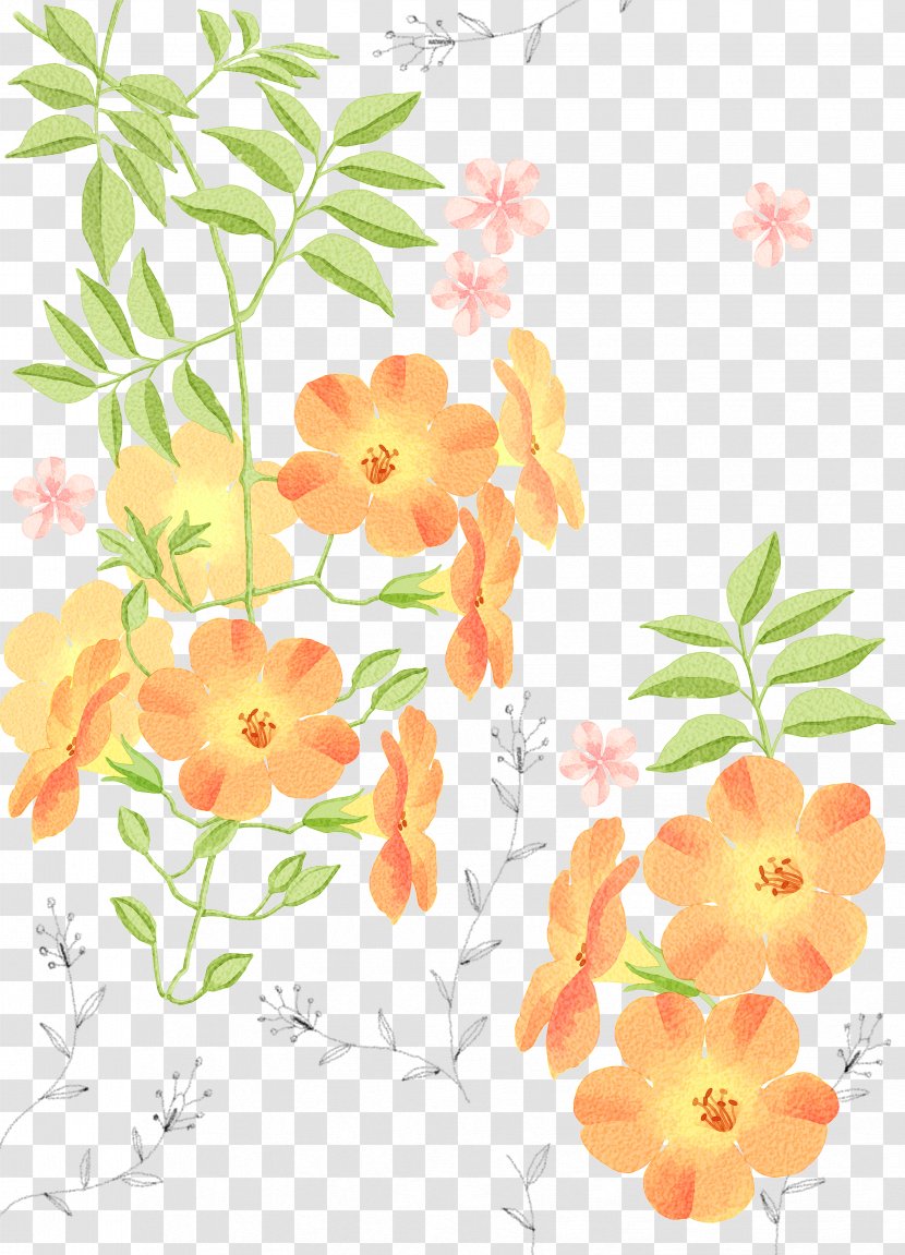 Watercolor Painting Illustration - Poster - Chrysanthemum Transparent PNG