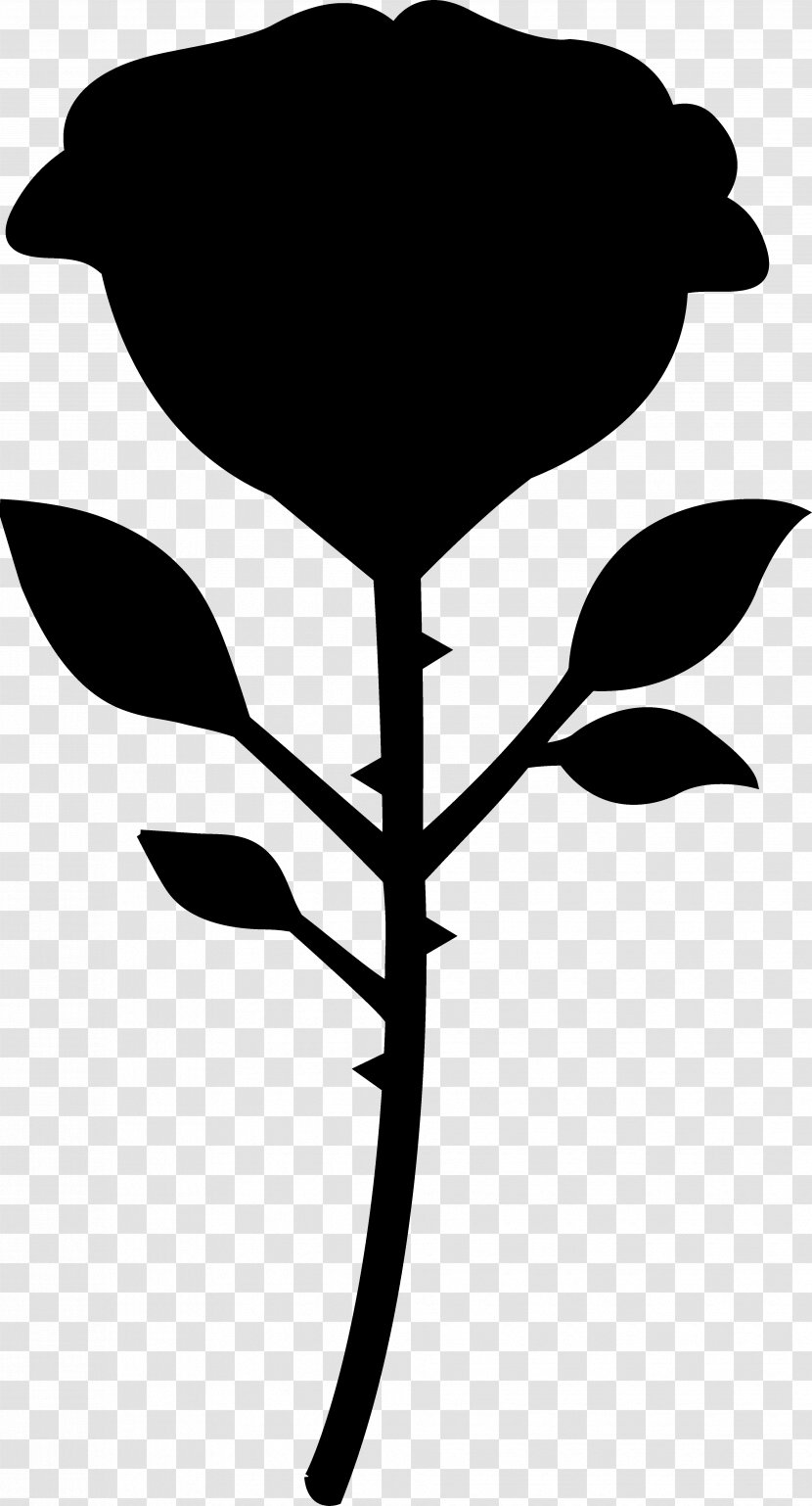 Clip Art Leaf Plant Stem Plants Microsoft PowerPoint - Poetry - Botany Transparent PNG