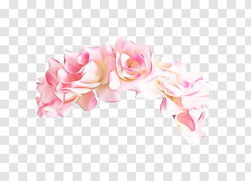 Garden Roses - Petal - Artificial Flower Rose Order Transparent PNG