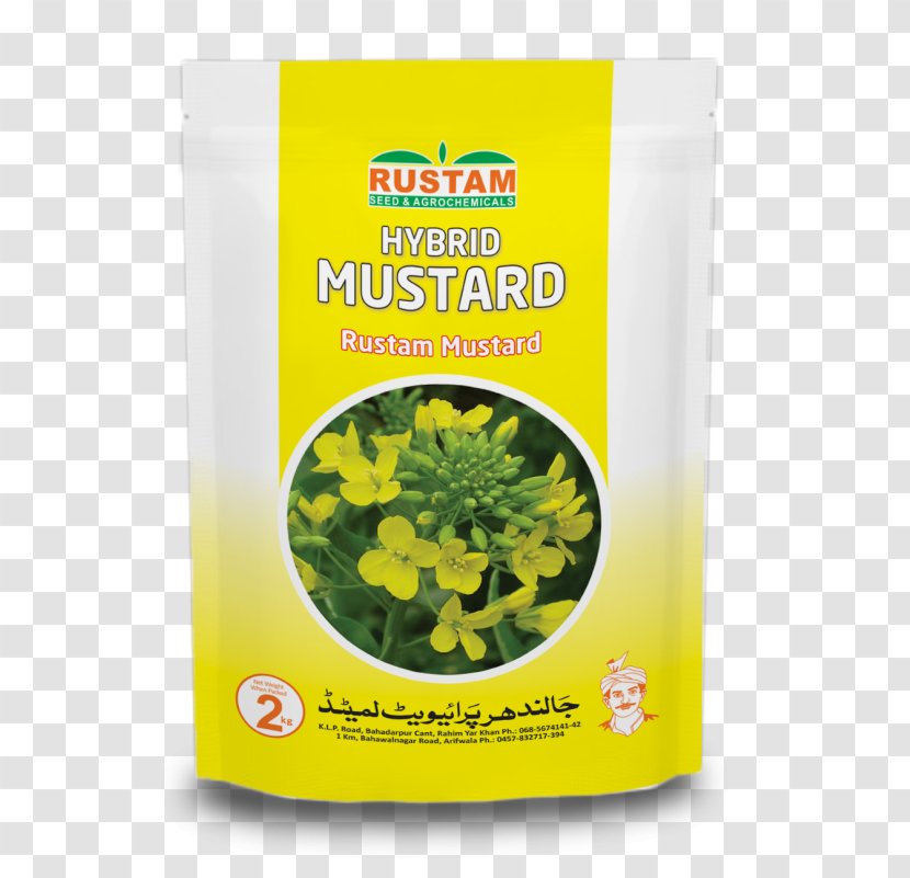 Jalandhar Mustard Plant Leaf Vegetable Seed - Ifwe - Oil Transparent PNG
