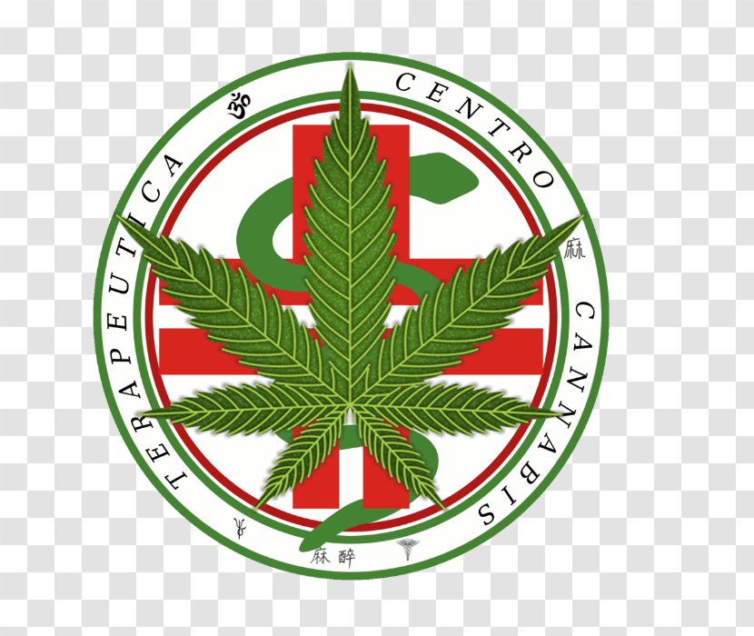 Cannabis Sativa Marijuana Medical Leaf - Medicine Transparent PNG