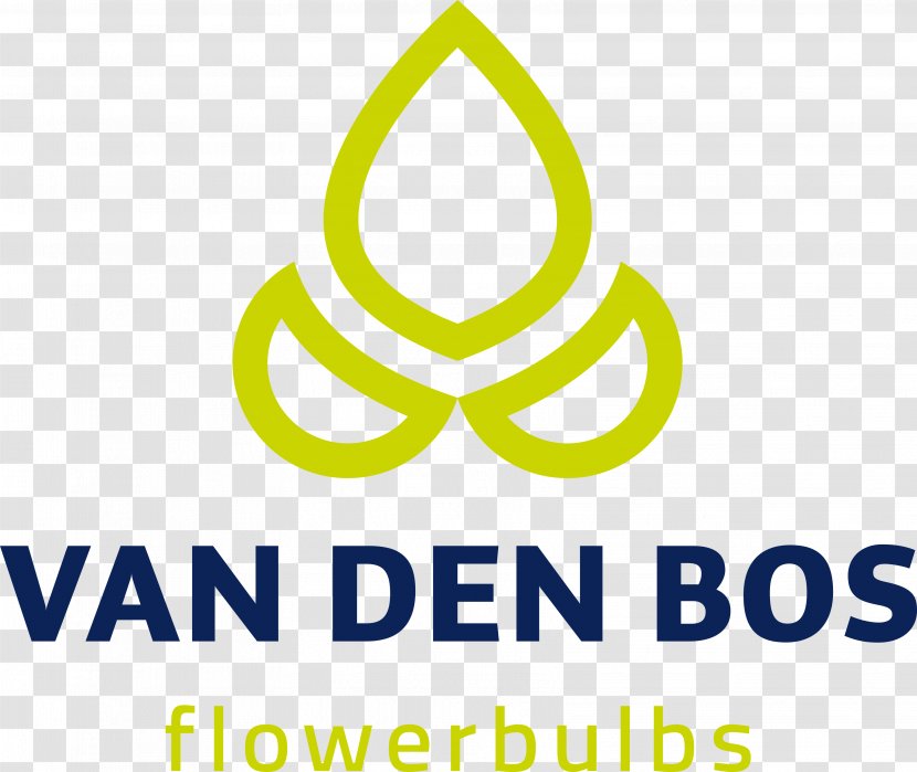 Florist Holland B.V. Van Den Bos Flowerbulbs Organization Horticulture Business - Area - Freesia Transparent PNG