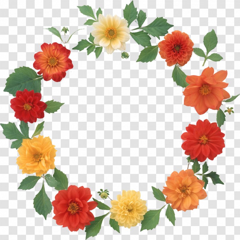 Floral Design Flower Wreath - Flowering Plant Transparent PNG