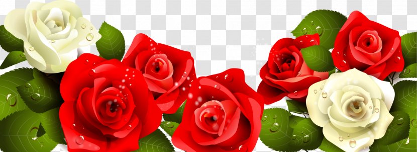 Happy Birthday To You Rose Greeting Card - Plant - Painted Red And White Roses Green Leaves Transparent PNG