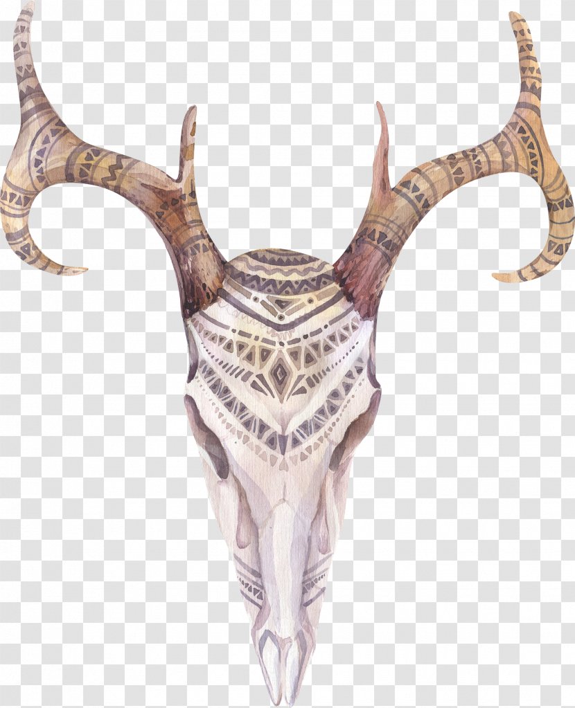 Deer Antler Bohemianism Skull Illustration - Watercolor Painting - Brown Statue Transparent PNG
