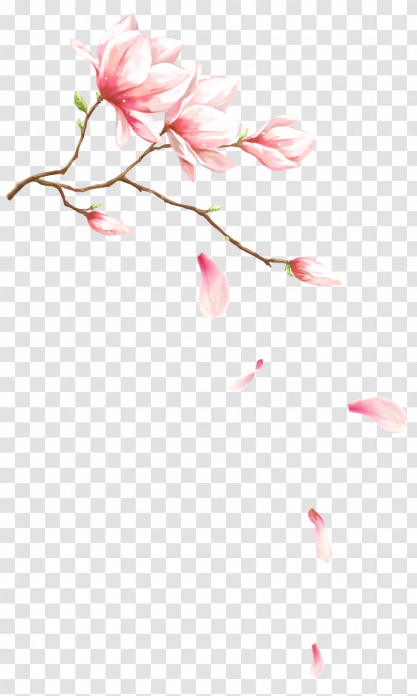Watercolor Painting Flower - Southern Magnolia - Pink Dream Orchid Drops Decorative Patterns Transparent PNG