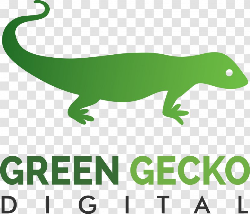Lizard Clip Art Amphibians Fauna Terrestrial Animal - Green - Gecko Transparent PNG
