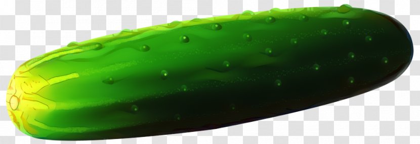 Vegetable Cartoon - Green - Cucumis Plant Transparent PNG