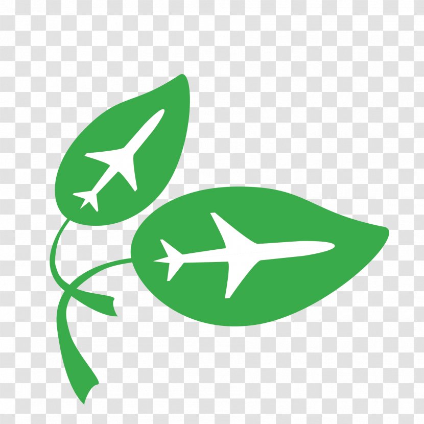 Vector Greens And Airplanes - Green - Religious Tourism Transparent PNG