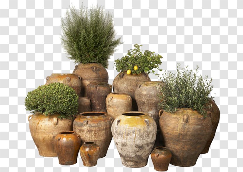 Ceramic Urn Pottery Vase Tree - Plant Transparent PNG