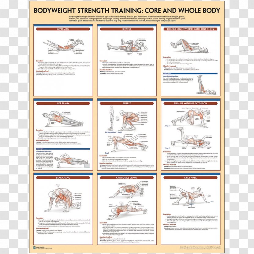 Bodyweight Strength Training Anatomy Exercise - Poster - General Fitness Transparent PNG