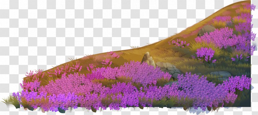 English Lavender Violet Euclidean Vector - Plant - To Purple Fantasy Material Transparent PNG
