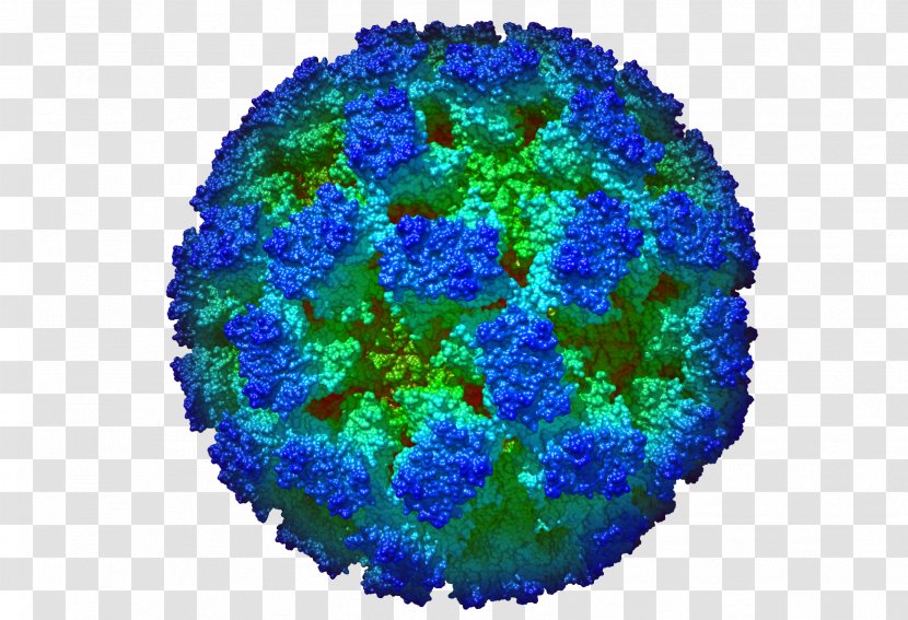 Organism - Electric Blue - Polyhedral Virus Capsid Transparent PNG
