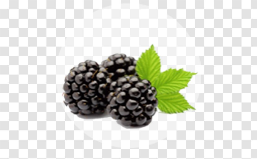 Blackberry Fruit Granita Shutterstock - Raspberries Blackberries And Dewberries Transparent PNG