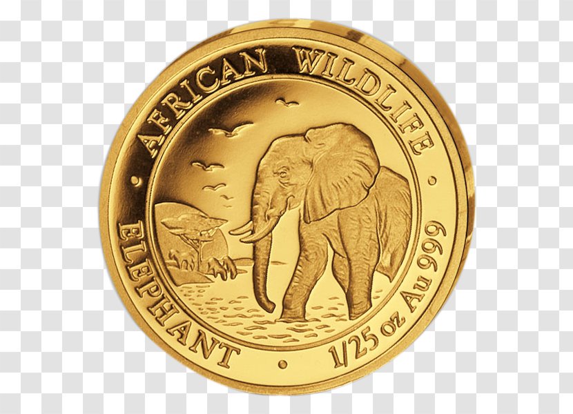Gold Coin African Elephant Indian Transparent PNG