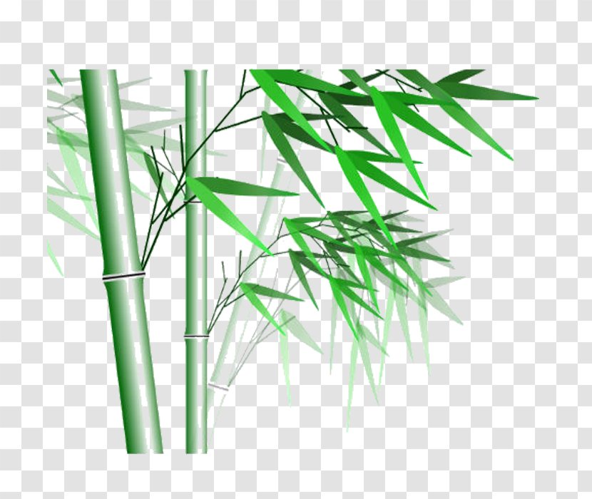 Bamboo Computer File - Phyllostachys Edulis Transparent PNG
