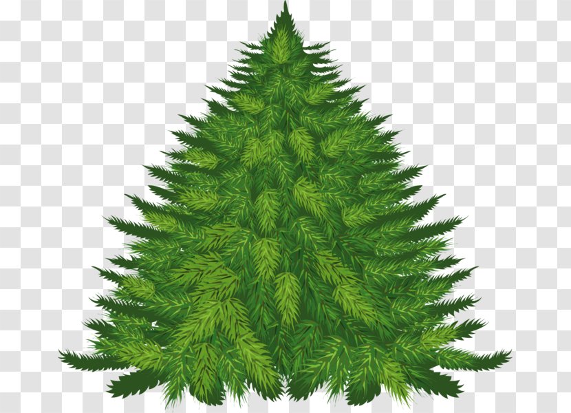 Spruce Christmas Tree Ornament New Year Transparent PNG