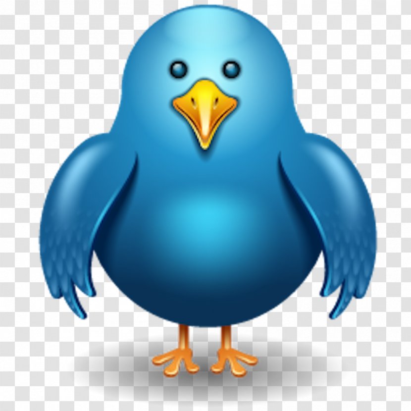 Bird Download Clip Art - Twitter Transparent PNG