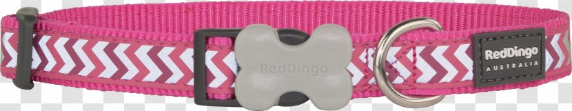 Dog Dingo Pet Collar Leash - Shoe Transparent PNG