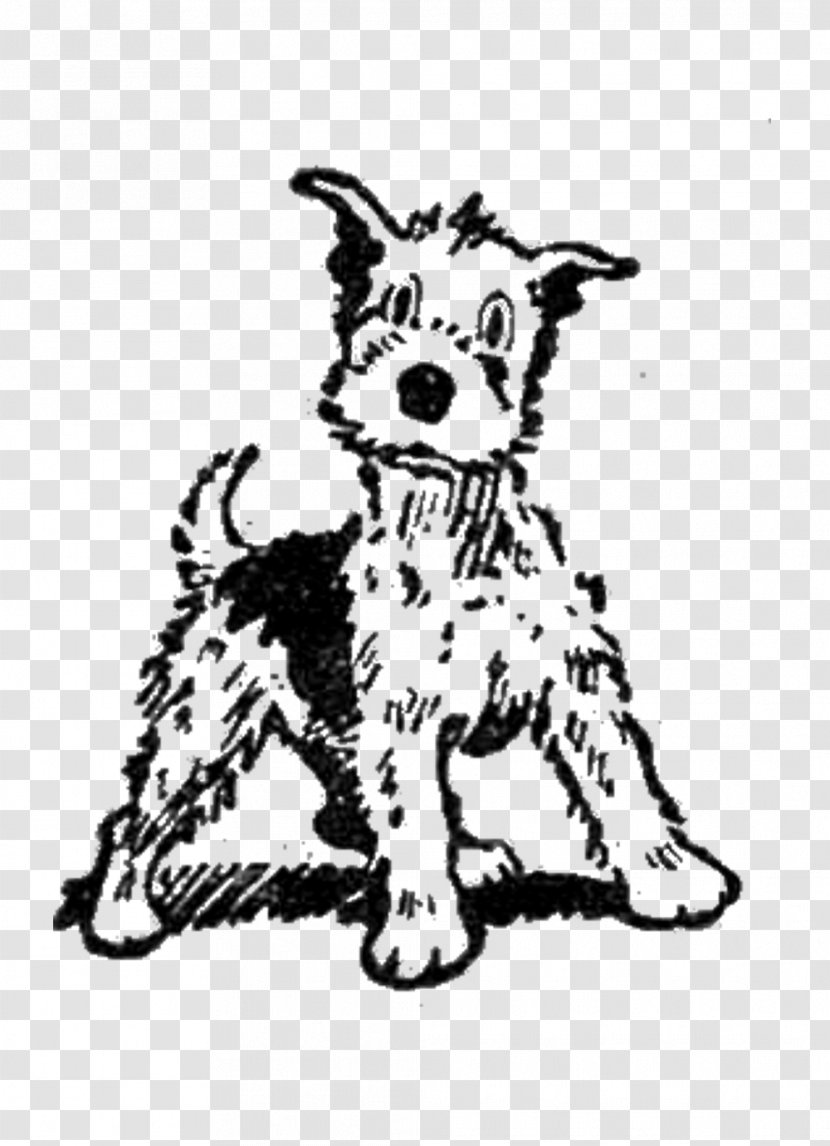 Puppy Dalmatian Dog Whiskers Torrfoder Breed - R Bubeck Sohn Gmbh - Ceasar Transparent PNG