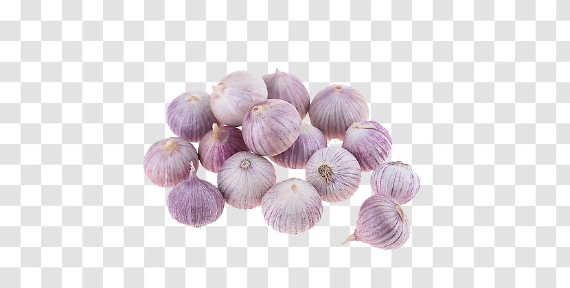 Solo Garlic Taobao Price Catty JD.com - Cockle - Onion Transparent PNG