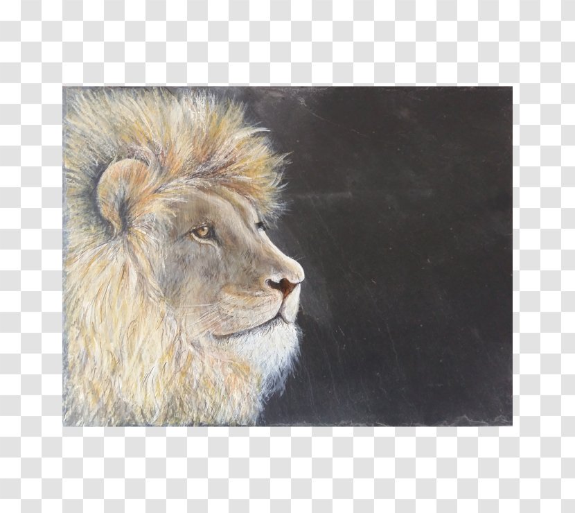 East African Lion Art Museum Watercolor Painting Transparent PNG