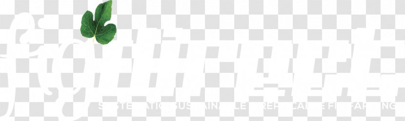Leaf Logo Desktop Wallpaper - Computer Transparent PNG