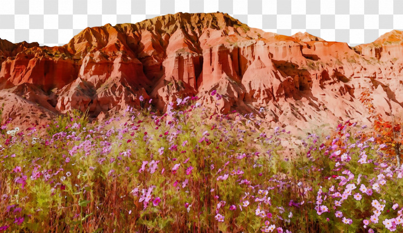 Outcrop Vegetation Shrubland National Park Wilderness Transparent PNG