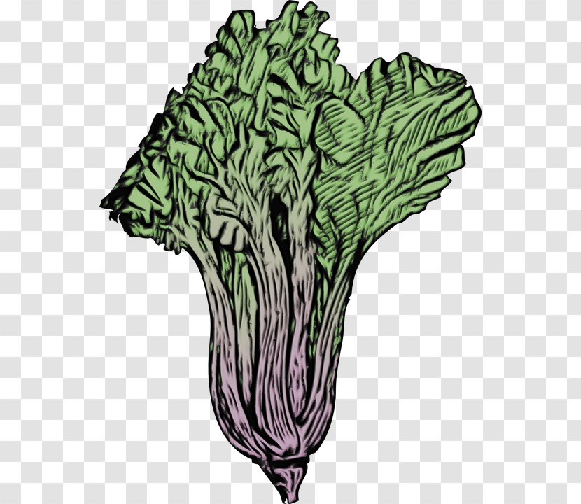 Cabbage Leaf Vegetable Plant Tree - Cruciferous Vegetables Transparent PNG