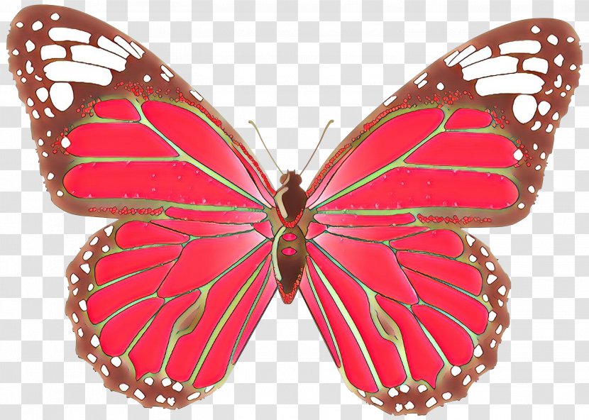 Clip Art Butterfly Image Openclipart - Pink - Symmetry Transparent PNG