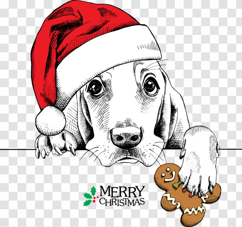 Basset Hound Dachshund Pug Santa Claus Christmas - Sports Equipment - Meng Dog Wearing Hats Transparent PNG