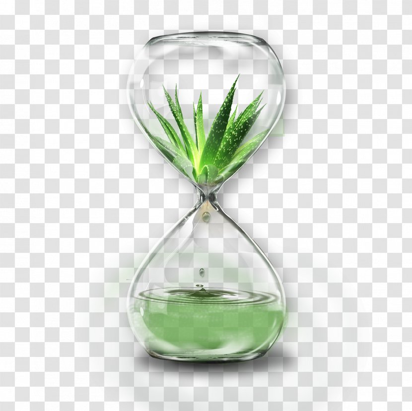 Aloe Vera - Glass Bottle - Transparent Hourglass Transparent PNG