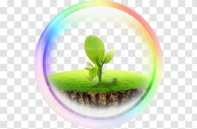 Earth Download - Green - Earth,protect The Transparent PNG