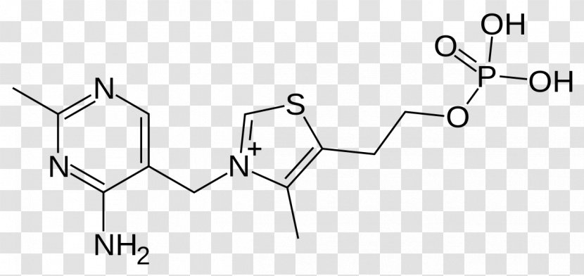 Thiamine Monophosphate Chemical Compound Deficiency Impurity - Silhouette - Cartoon Transparent PNG